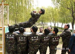 徐州拓展训练价格、型号规格与服务选购全指南