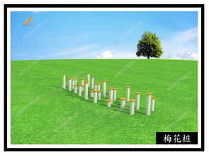 地面拓展器材梅花桩 团队协作与平衡艺术的考验